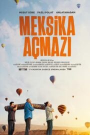 Meksika Açmazı